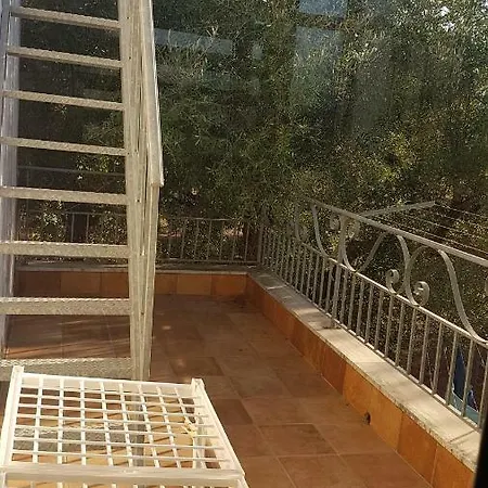 Nyaraló Rosa